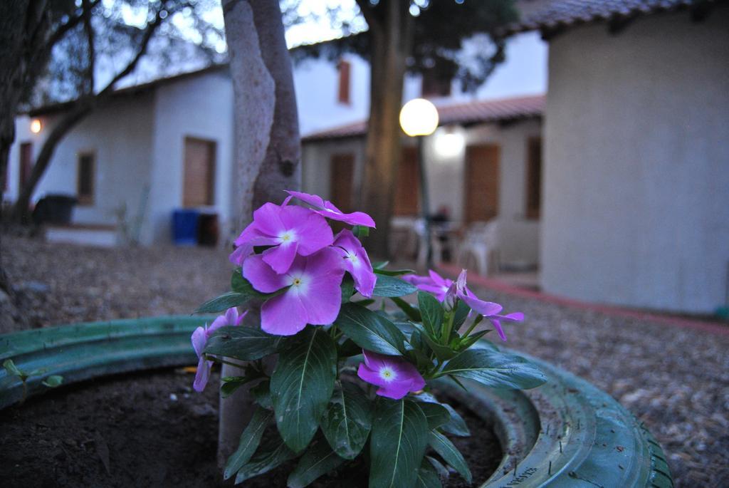 Camping B&B Gioiosa Джоиоза-Мареа Экстерьер фото